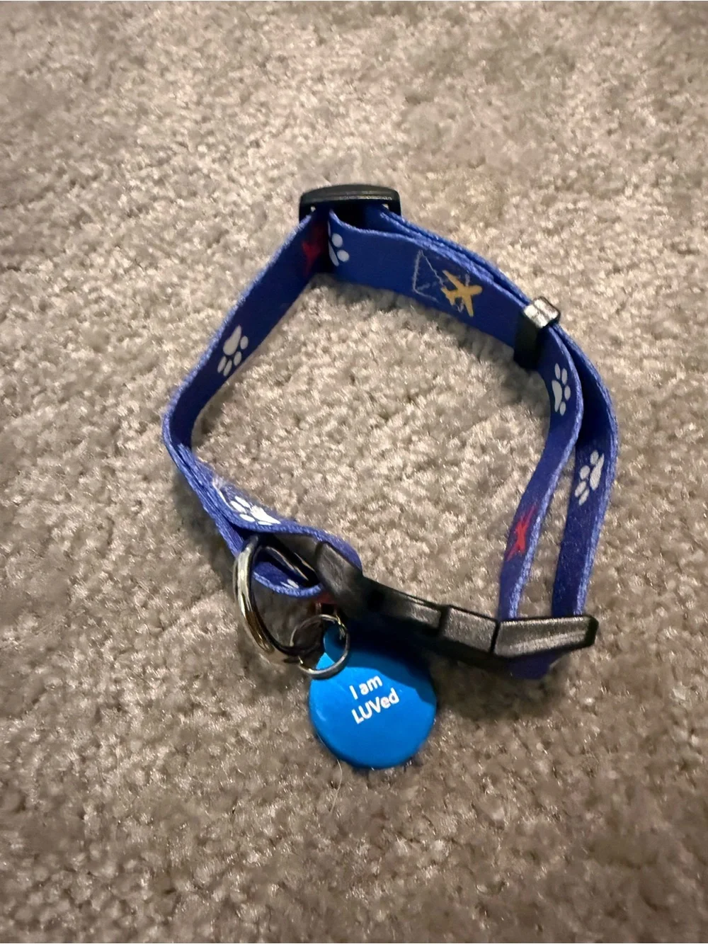 Blue Paw-Print Nylon Dog Collar with ID Tag